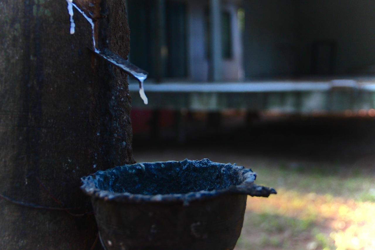 מלון סאי יוק Singha Rubber Tree מראה חיצוני תמונה
