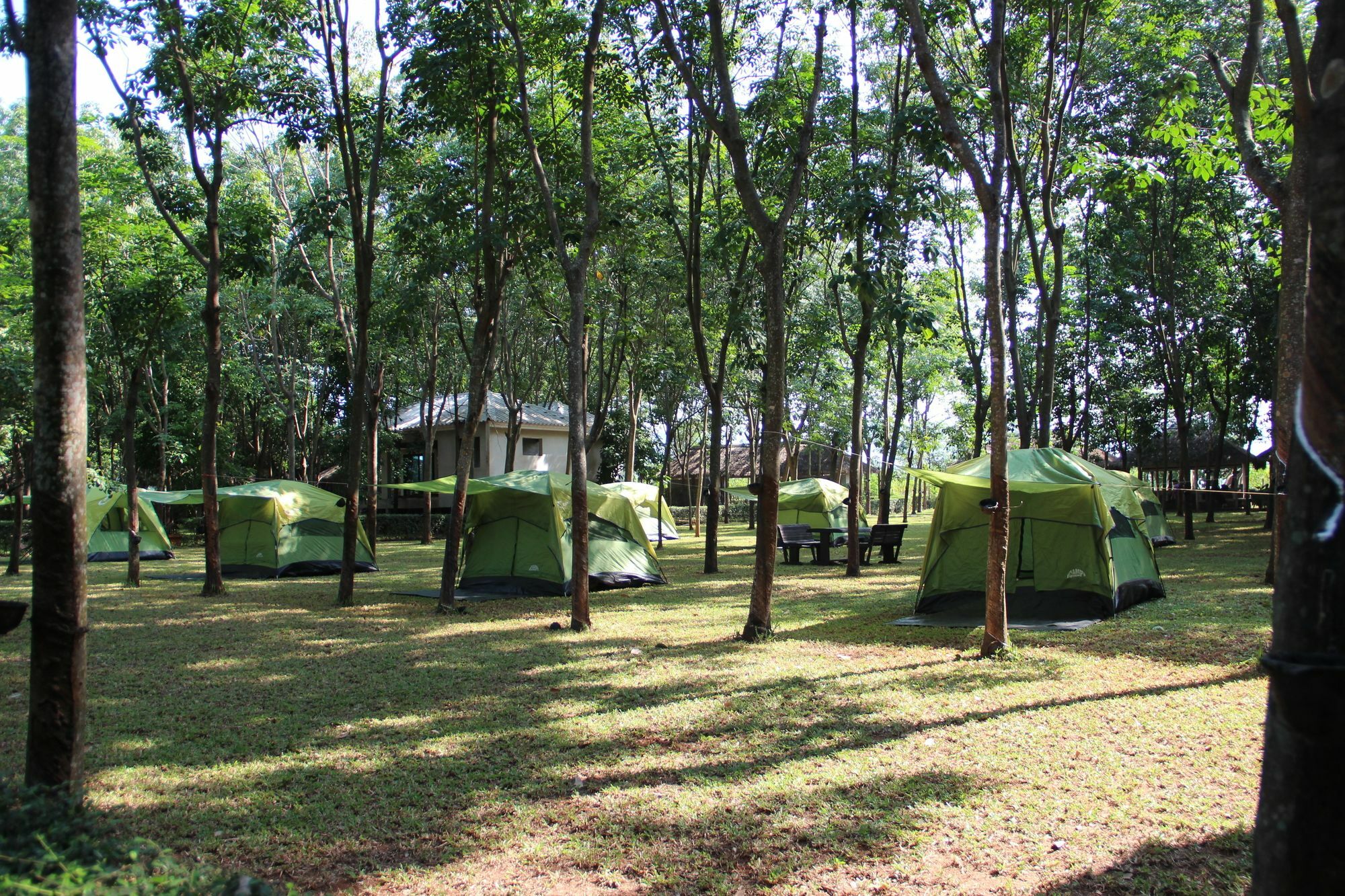 מלון סאי יוק Singha Rubber Tree מראה חיצוני תמונה